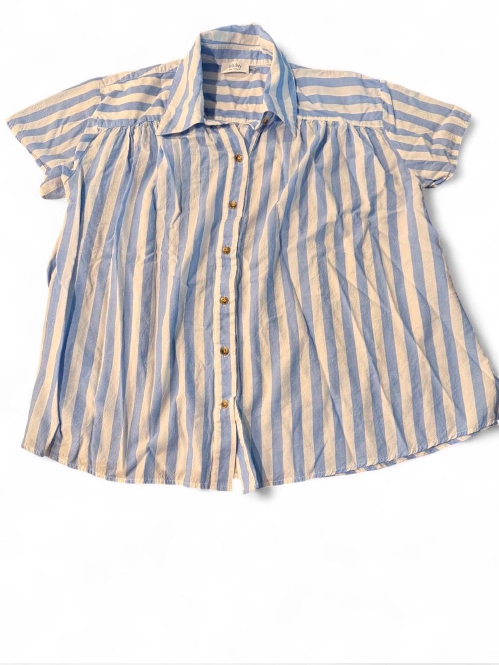 Bluivy Blue and White Striped Short Sleeve Button-Down Shirt